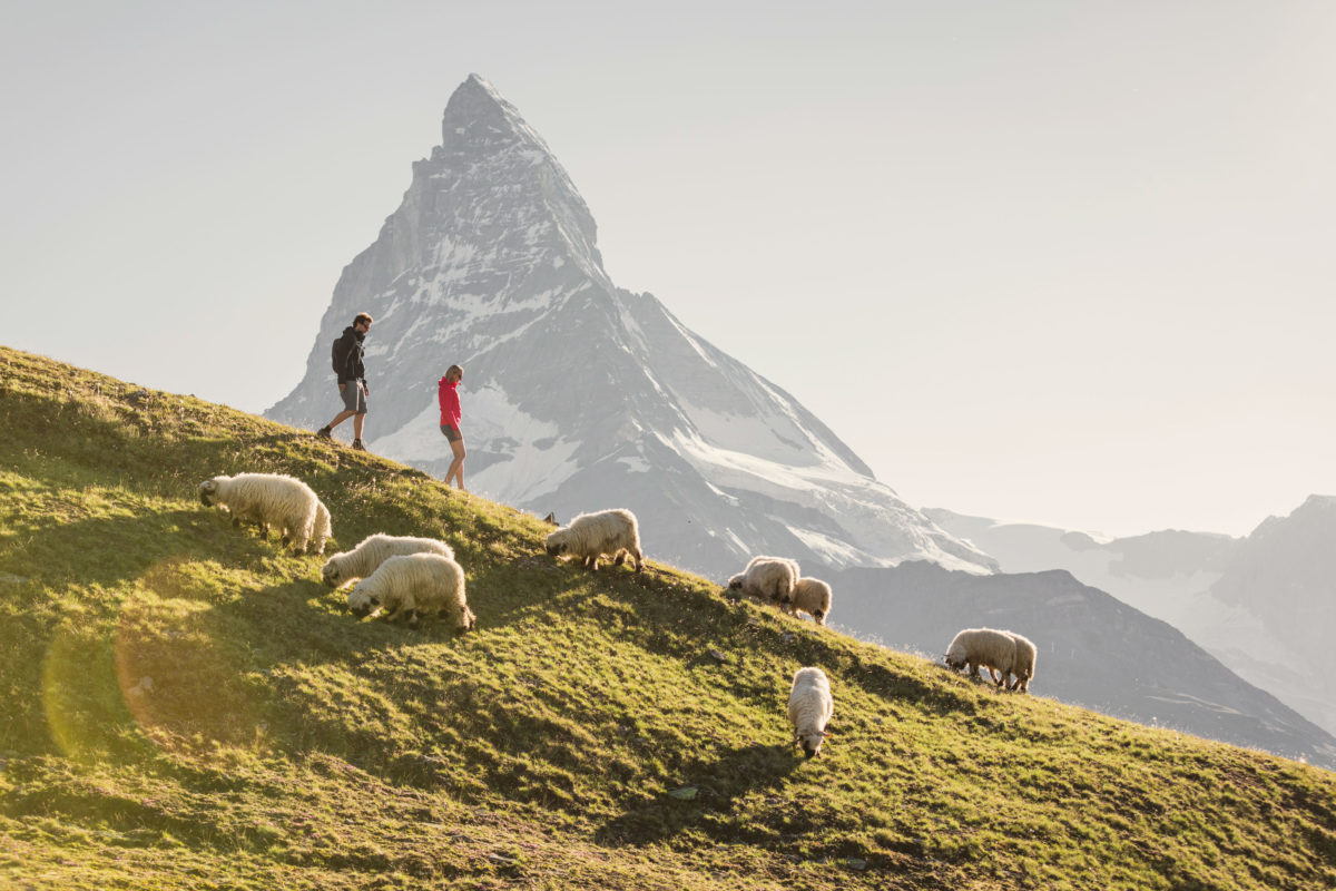 Hotel Beau Rivage Zermatt Matterhorn Wandern Sommer